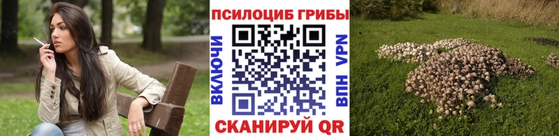 Галлюциногенные грибы ЛСД  blacksprut зеркало  Отрадная 